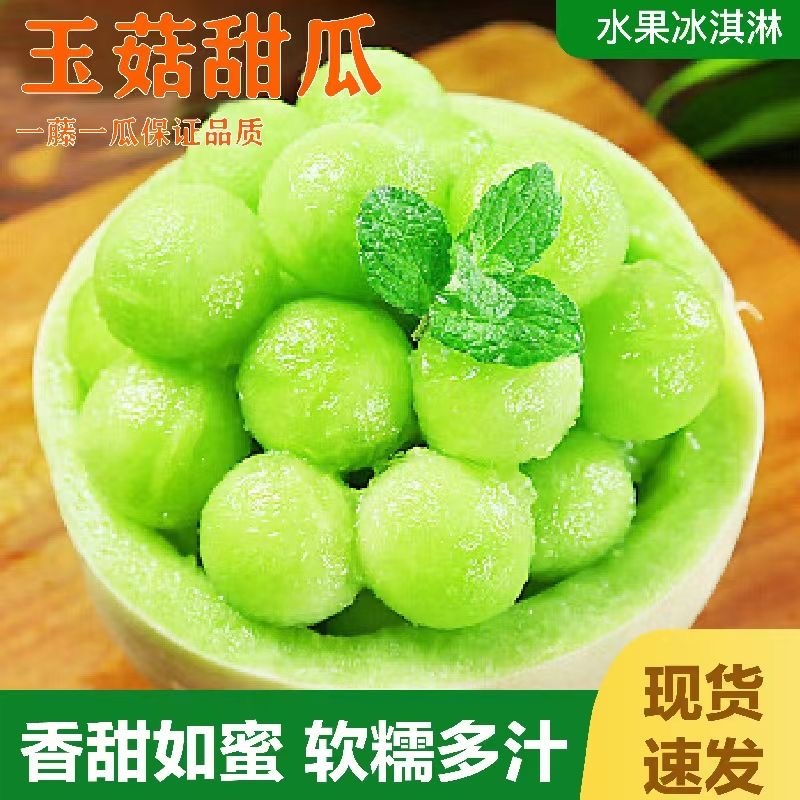 玉菇甜瓜产地批发源头好货