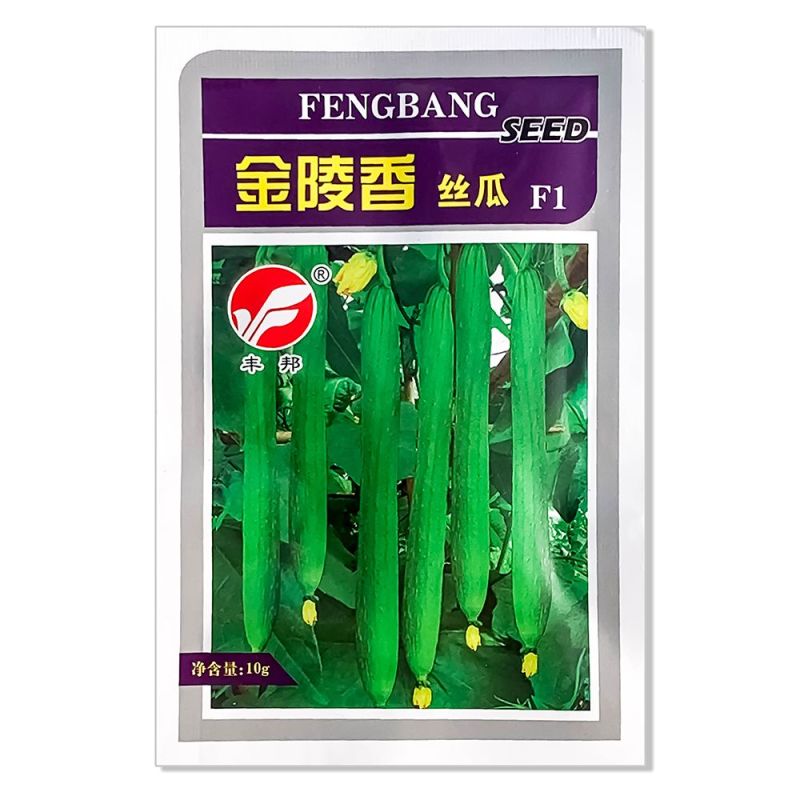 丰邦金陵香丝瓜种子春秋超长香丝瓜种籽翠绿线丝瓜蔬菜香丝瓜