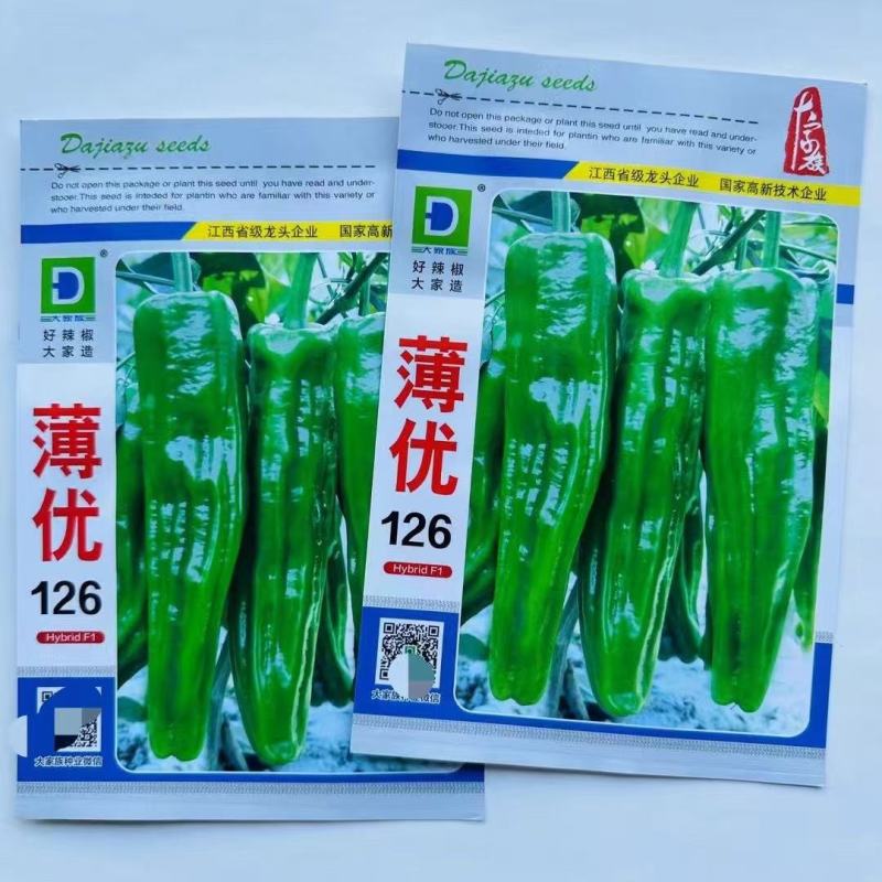 薄皮椒种子薄优126新育品种抗病性好青皮泡椒品种种子