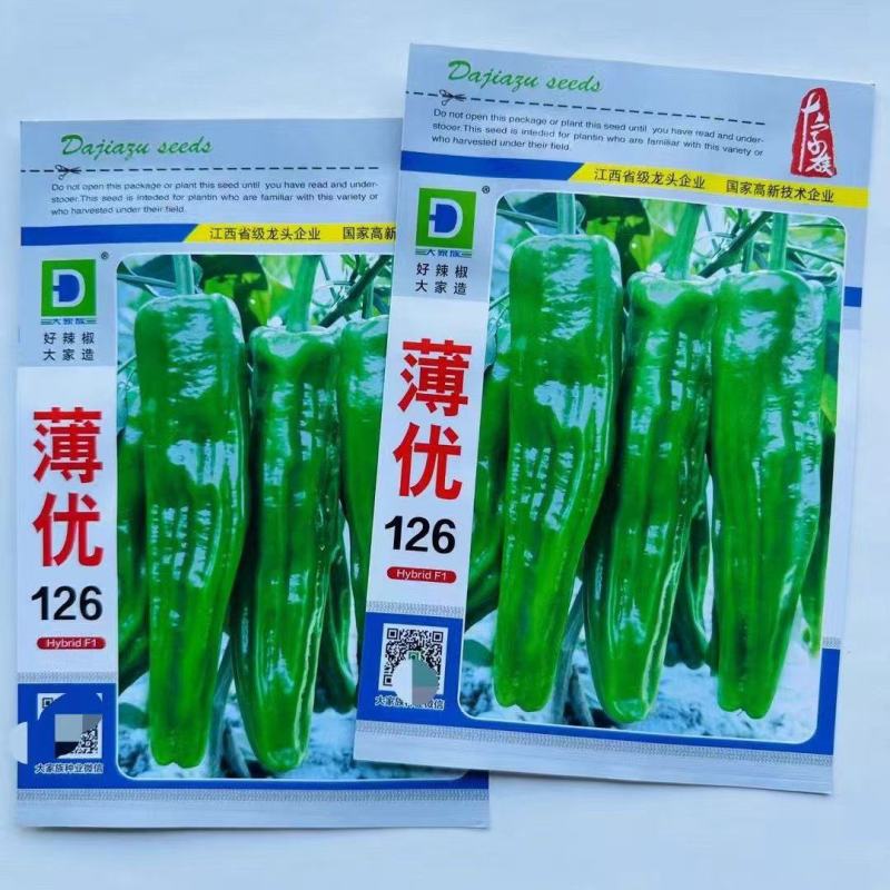 薄皮椒种子薄优126新育品种抗病性好青皮泡椒品种种子