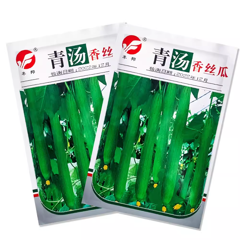 丰邦青汤香丝瓜种子香味浓皮薄纤维少不易老化大田专用蔬菜种