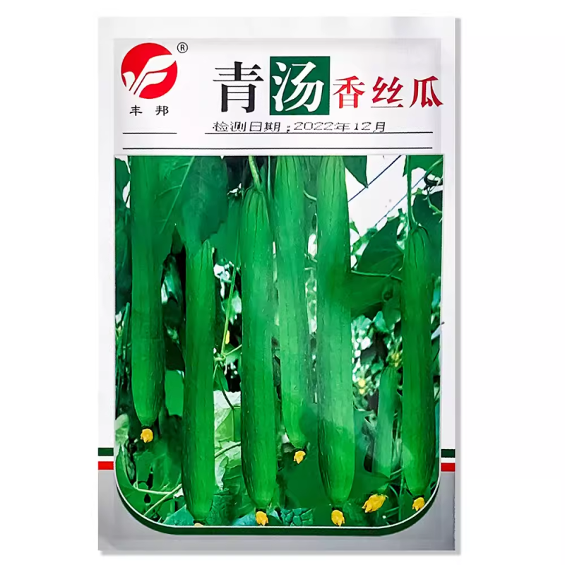 丰邦青汤香丝瓜种子香味浓皮薄纤维少不易老化大田专用蔬菜种