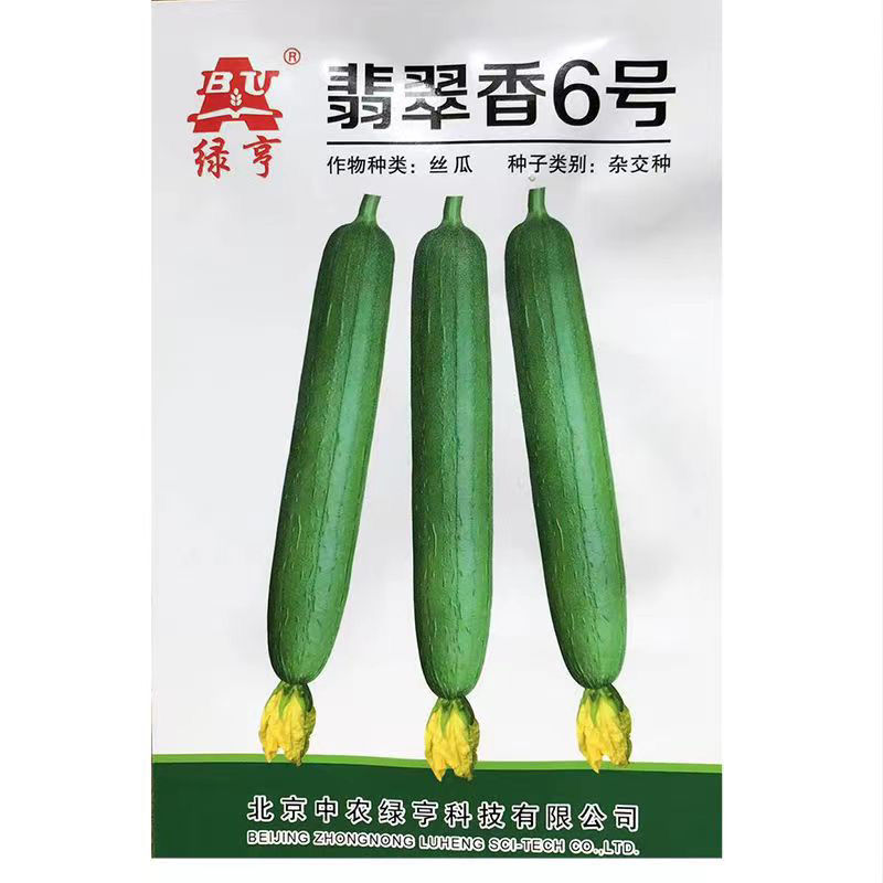 翡翠香6号短油皮一代杂交丝瓜种子高产抗病春秋油亮丝瓜大