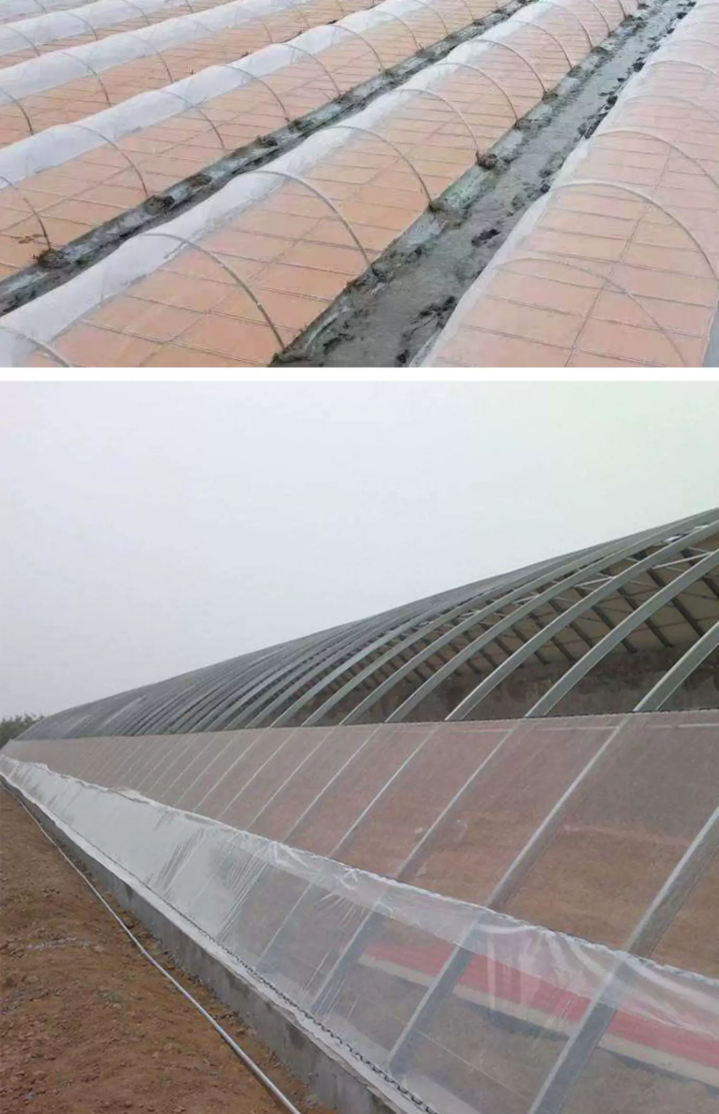防虫网纱网养殖养猪场防蚊子苍蝇果蝇农用大棚果树专用网加厚