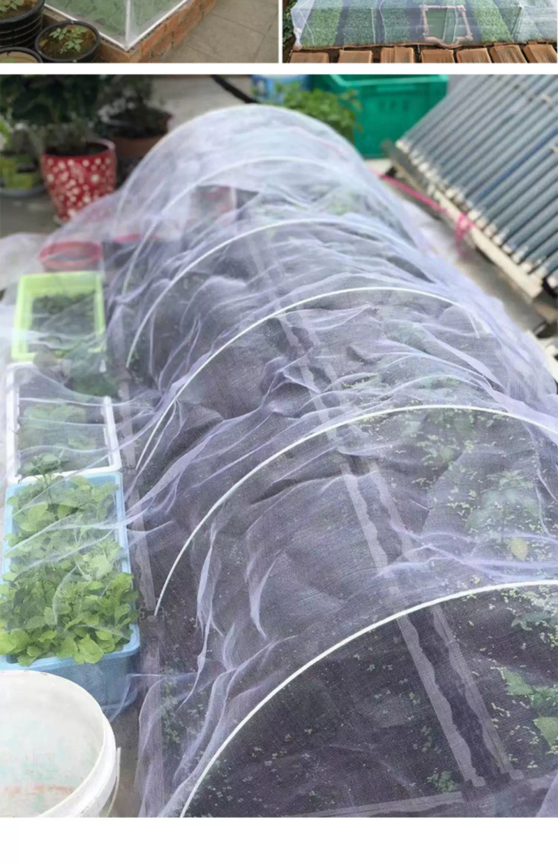 防虫网纱网养殖养猪场防蚊子苍蝇果蝇农用大棚果树专用网加厚