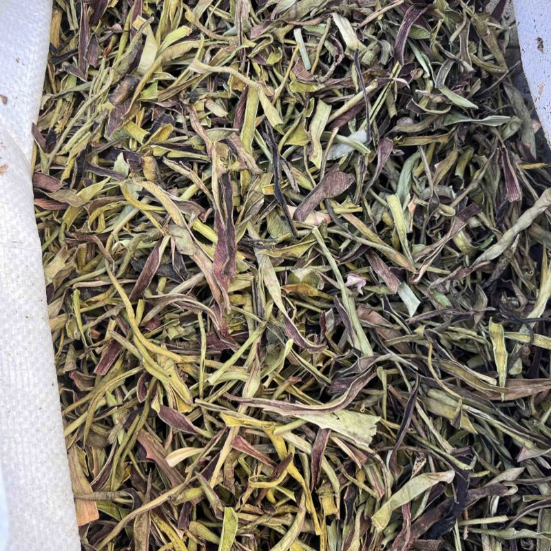 【推荐】优质芦荟茶干叶产地直发量大价优可视频看货欢迎