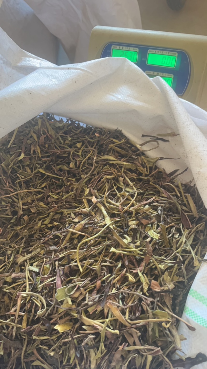 【推荐】优质芦荟茶干叶产地直发量大价优可视频看货欢迎