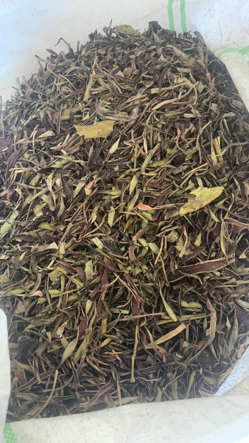 【推荐】优质芦荟茶干叶产地直发量大价优可视频看货欢迎