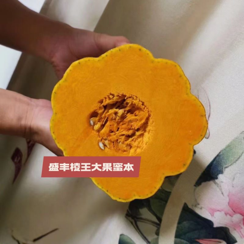 盛丰棱王大果蜜本南瓜种子果肉甜面糯南瓜种籽大果型高产肉厚