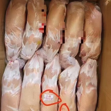 二级白条鸭，规格齐全，低价出售