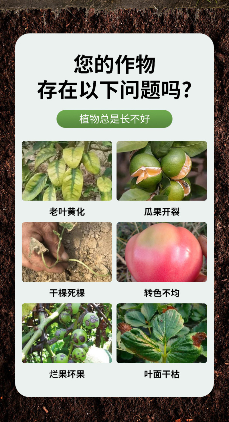 重茬拌肥宝土壤碳酶修复剂微生物菌剂土壤调理剂厂家现货批发