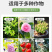 重茬拌肥宝土壤碳酶修复剂微生物菌剂土壤调理剂厂家现货批发