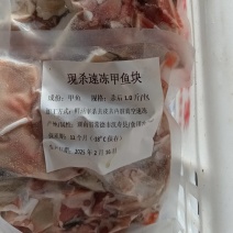 现杀速冻甲鱼块