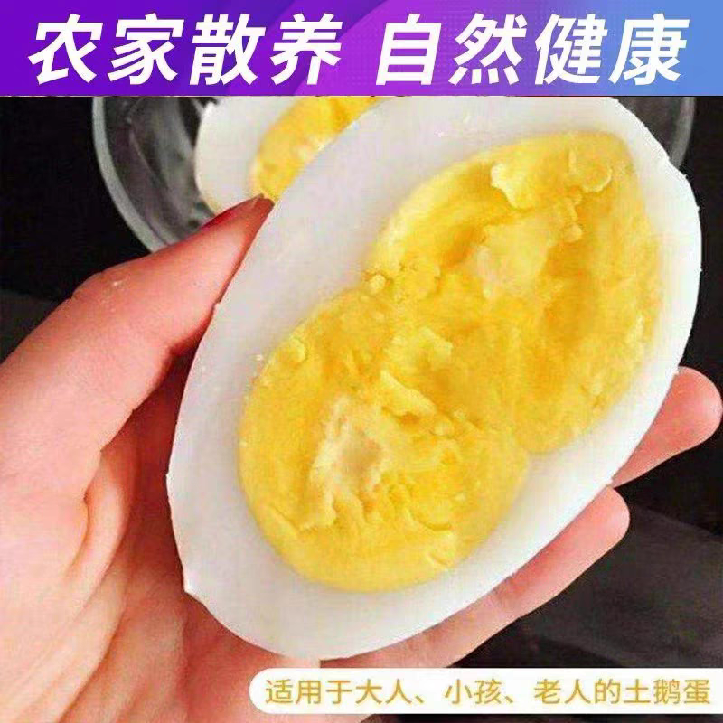 【精选】鹅蛋基地批发一手货源量大从优蛋黄饱满质优