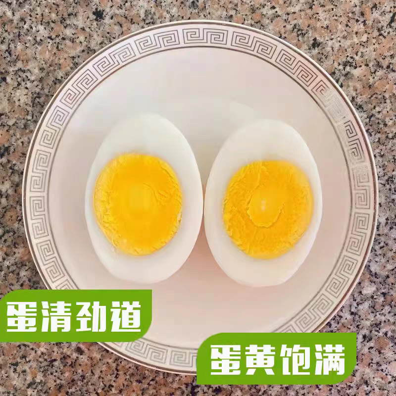 【精选】鹅蛋基地批发一手货源量大从优蛋黄饱满质优