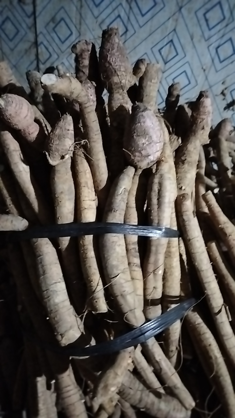 牛大力小叶牛统货便宜货产地直销一手货源，长期有货，