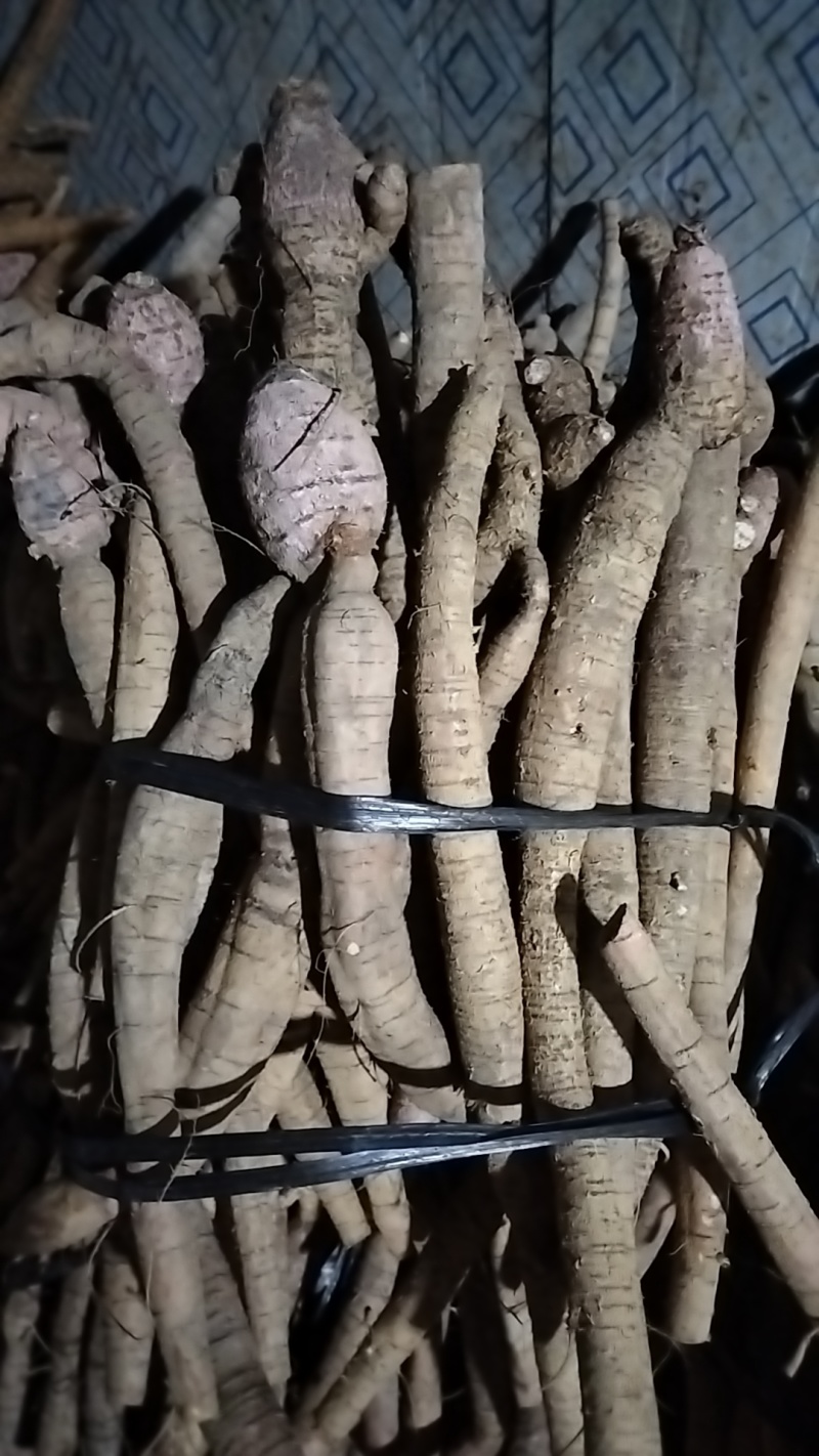 牛大力小叶牛统货便宜货产地直销一手货源，长期有货，