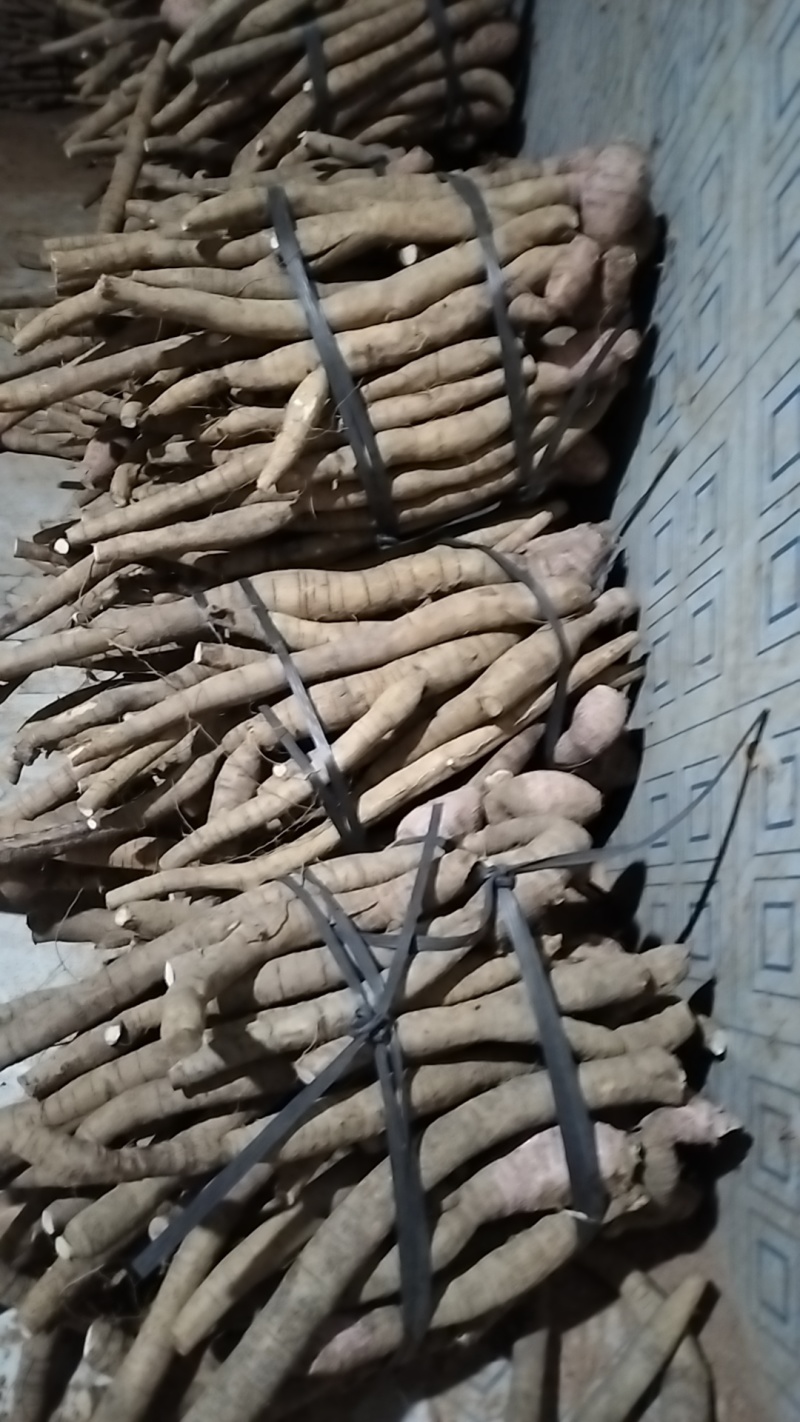 牛大力小叶牛统货便宜货产地直销一手货源，长期有货，