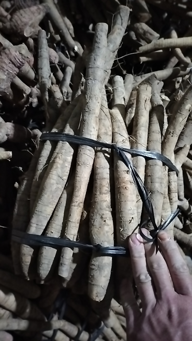 牛大力小叶牛统货便宜货产地直销一手货源，长期有货，