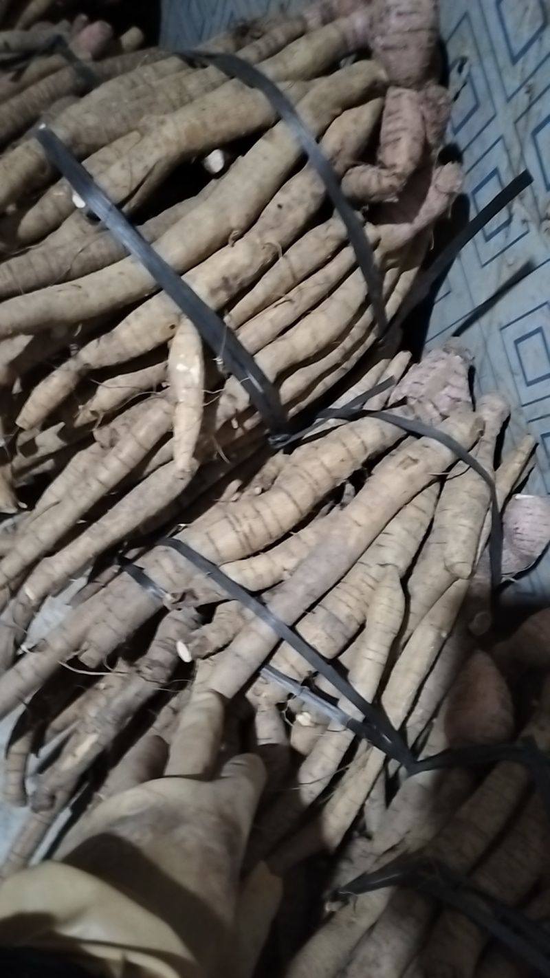 牛大力小叶牛统货便宜货产地直销一手货源，长期有货，