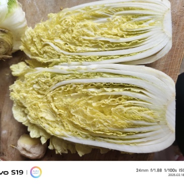 金乡娃娃菜，味道鲜美，是凉拌，烹饪的佳品，需要的老板联系