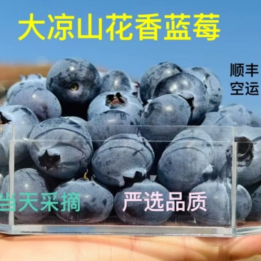 蓝莓