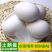 【牛商优选】河北省辛集鹅蛋农场出售鹅蛋礼盒装品质保证