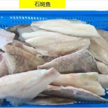 石斑鱼片，