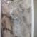 石斑鱼片，