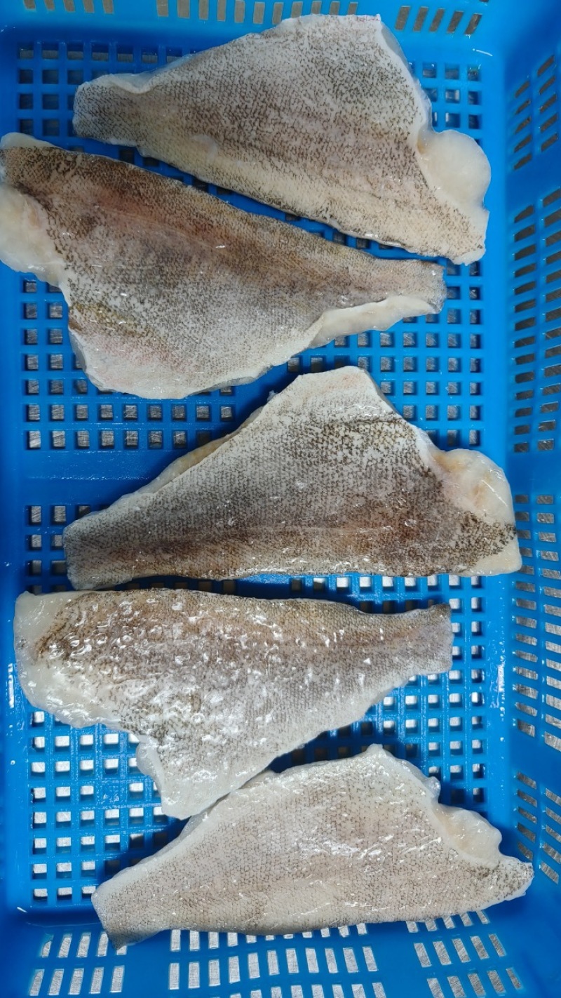 石斑鱼片，