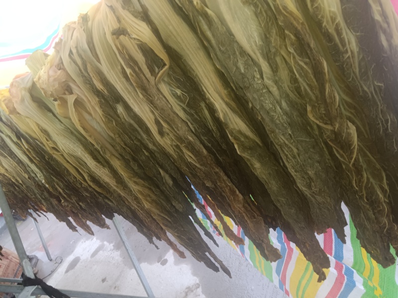 正宗农家土特产自制加工干酸菜