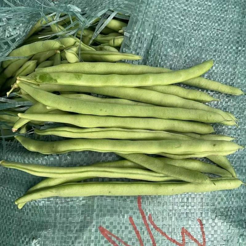 四季豆，无筋豆一件代发。视频号，抖音对接
