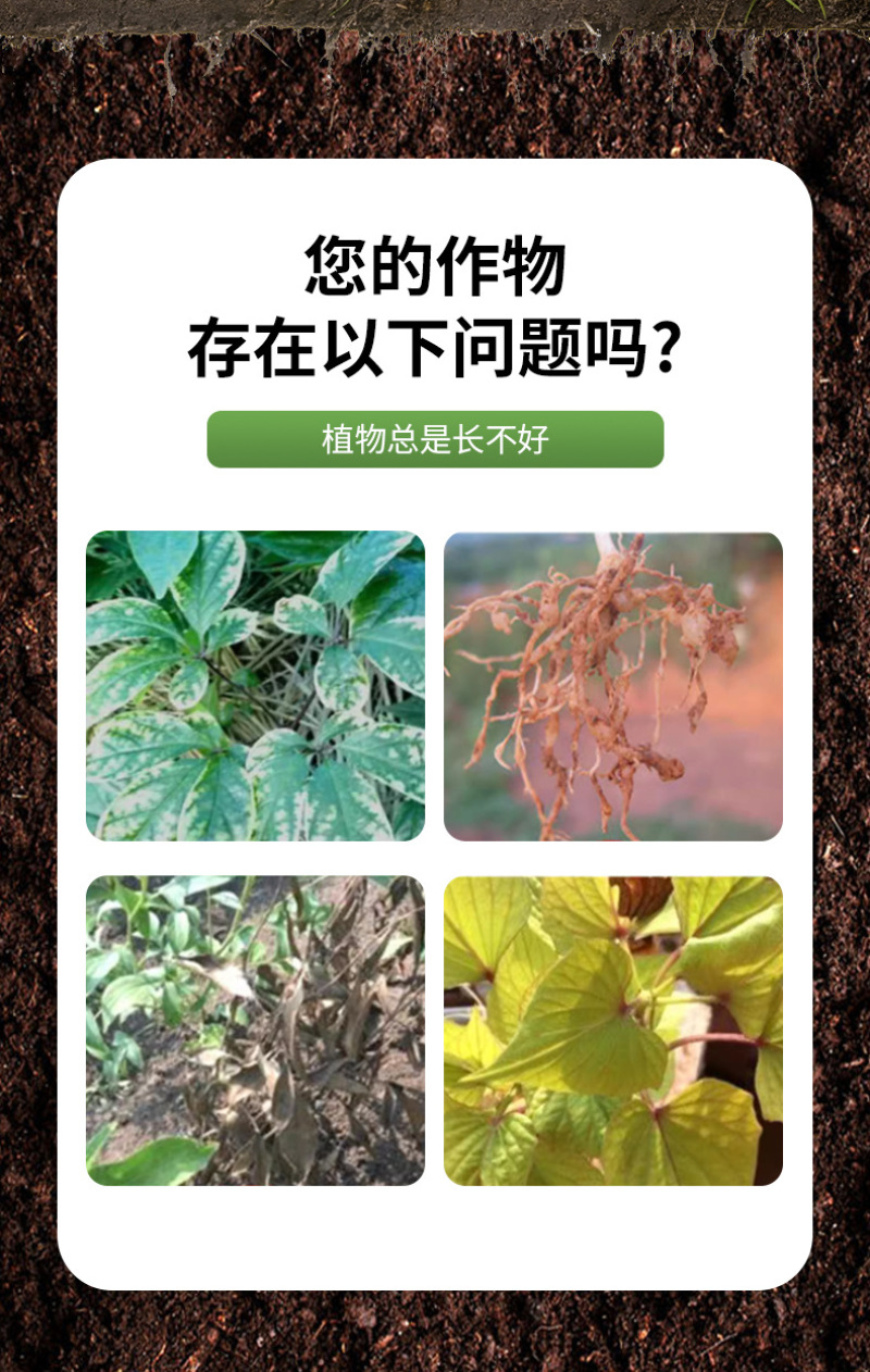 锐护药材用肥料微量元素水溶肥料人参三七党参当归药材用肥