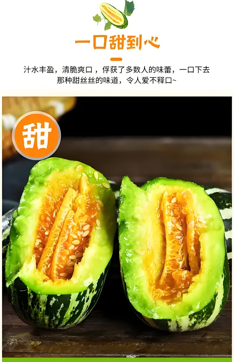 博洋九号甜瓜，山东聊城莘县产地直采，对接商超团购批发市场