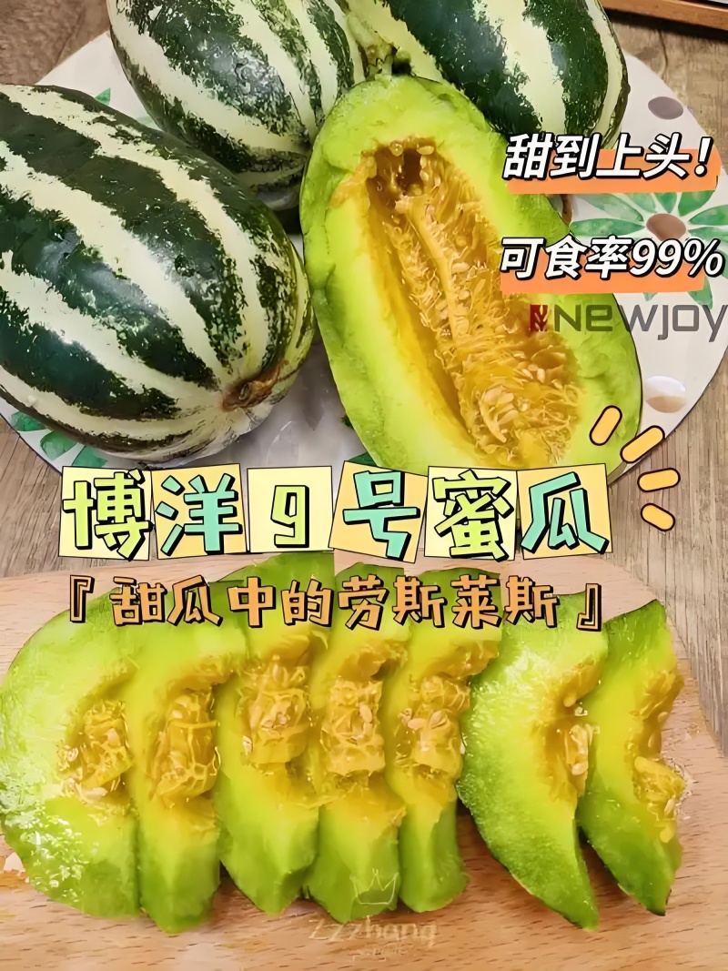 博洋九号甜瓜，山东聊城莘县产地直采，对接商超团购批发市场