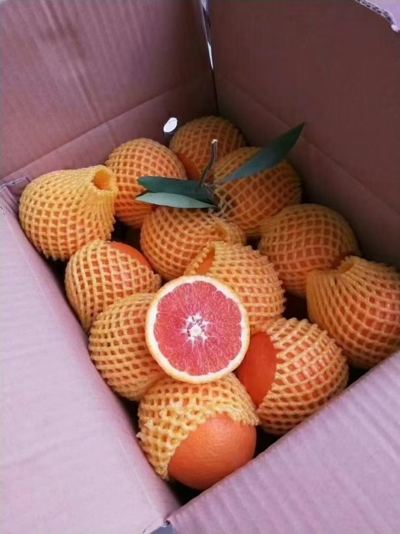 中华红脐橙规格齐全产地直发