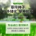 早熟禾种子四季草坪种子庭院草种草籽子耐践踏美观低矮绿化草