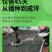早熟禾种子四季草坪种子庭院草种草籽子耐践踏美观低矮绿化草
