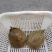 外塘养殖水鱼
