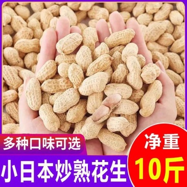 炒花生/小日本花生/原味花生/自家产品/大众批发