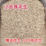 炒花生/小日本花生/原味花生/自家产品/大众批发