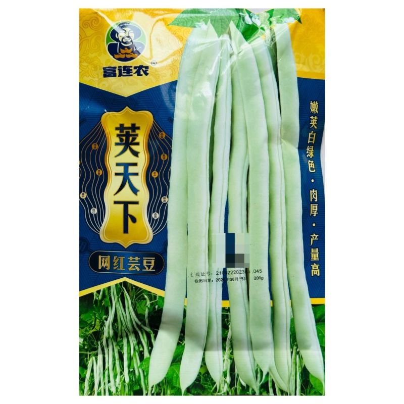 荚天下网红芸豆种子早熟架豆圆扁型抗病高产条形顺直四季豆芸