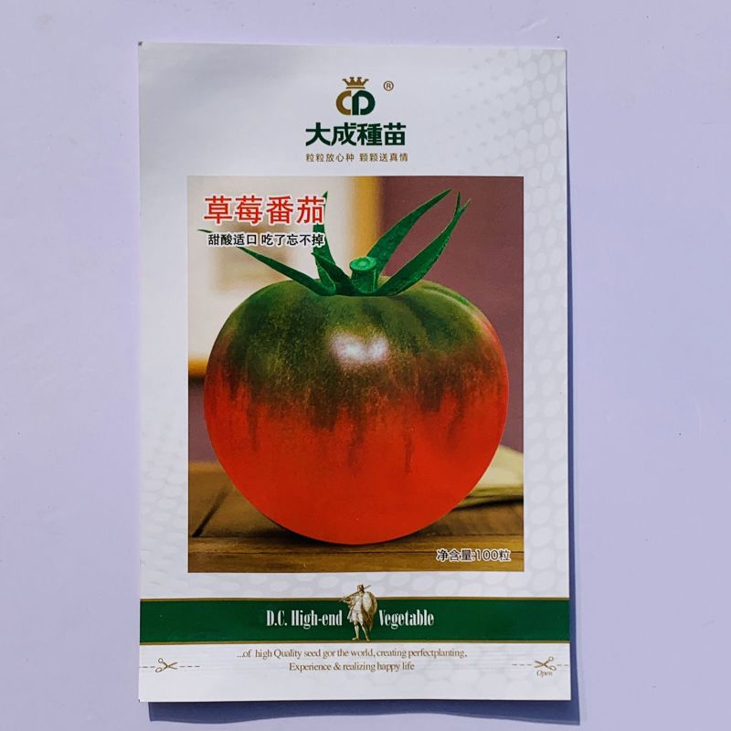 铁皮柿子草莓番茄种子含糖量高带绿尖沙瓤口感水果西红柿耐寒