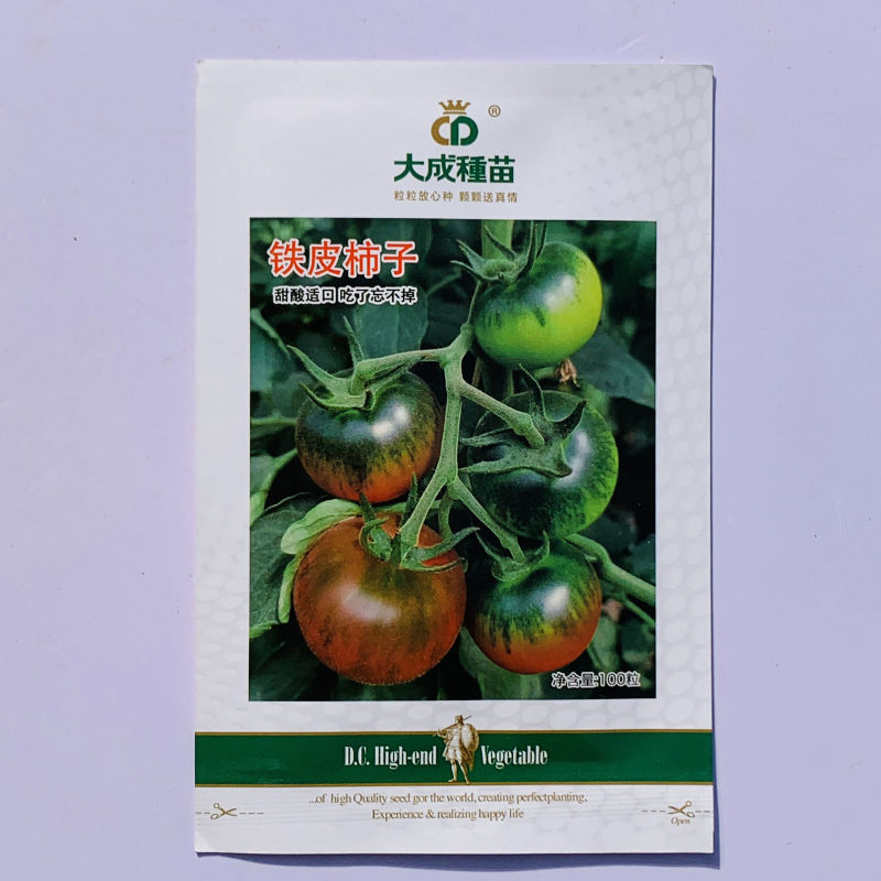 铁皮柿子草莓番茄种子含糖量高带绿尖沙瓤口感水果西红柿耐寒