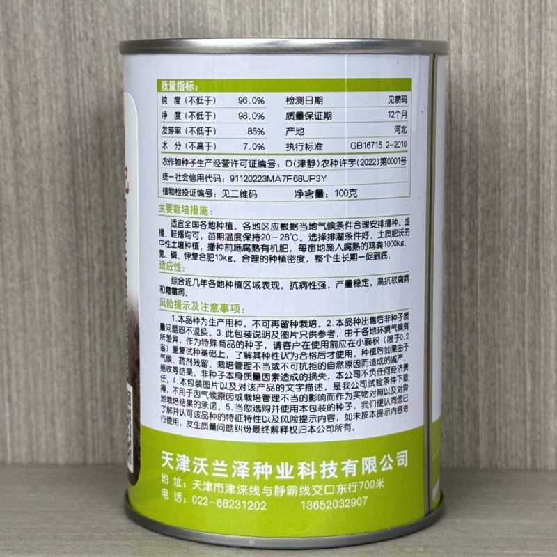 香妃油麦菜种子四季播无斑油麦菜早熟高产抗病性强耐热寒耐湿
