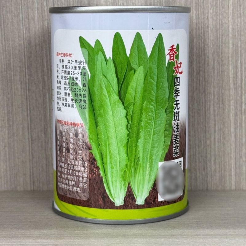 香妃油麦菜种子四季播无斑油麦菜早熟高产抗病性强耐热寒耐湿
