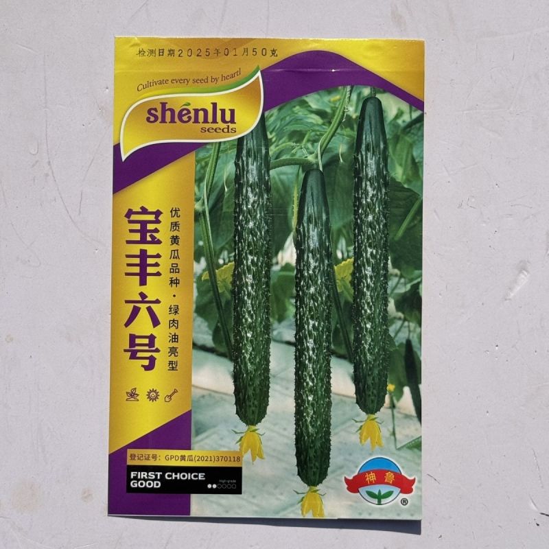 高产耐热油亮黄瓜宝丰六号黄瓜种子绿肉绿心耐旱短把油亮黄瓜