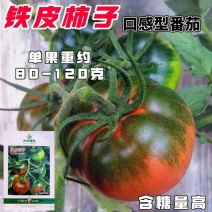 铁皮柿子草莓番茄种子含糖量高带绿尖沙瓤口感水果西红柿耐寒