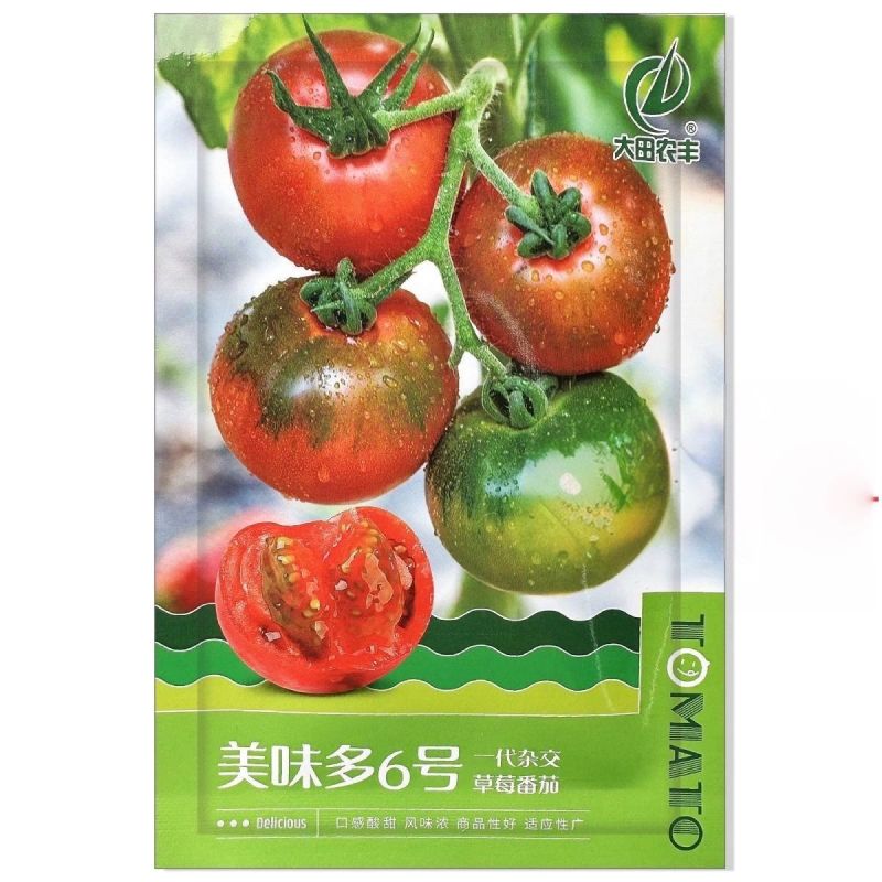 美味多六号无限生长型草莓番茄种子早熟品种耐低温弱光酸甜口