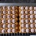 贵州精品五谷蛋货源充足量大从优质量保证欢迎咨询